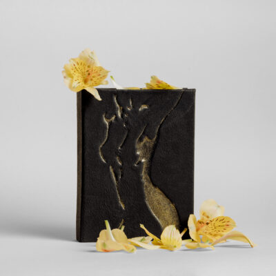Jurnal "Gold Shadow"