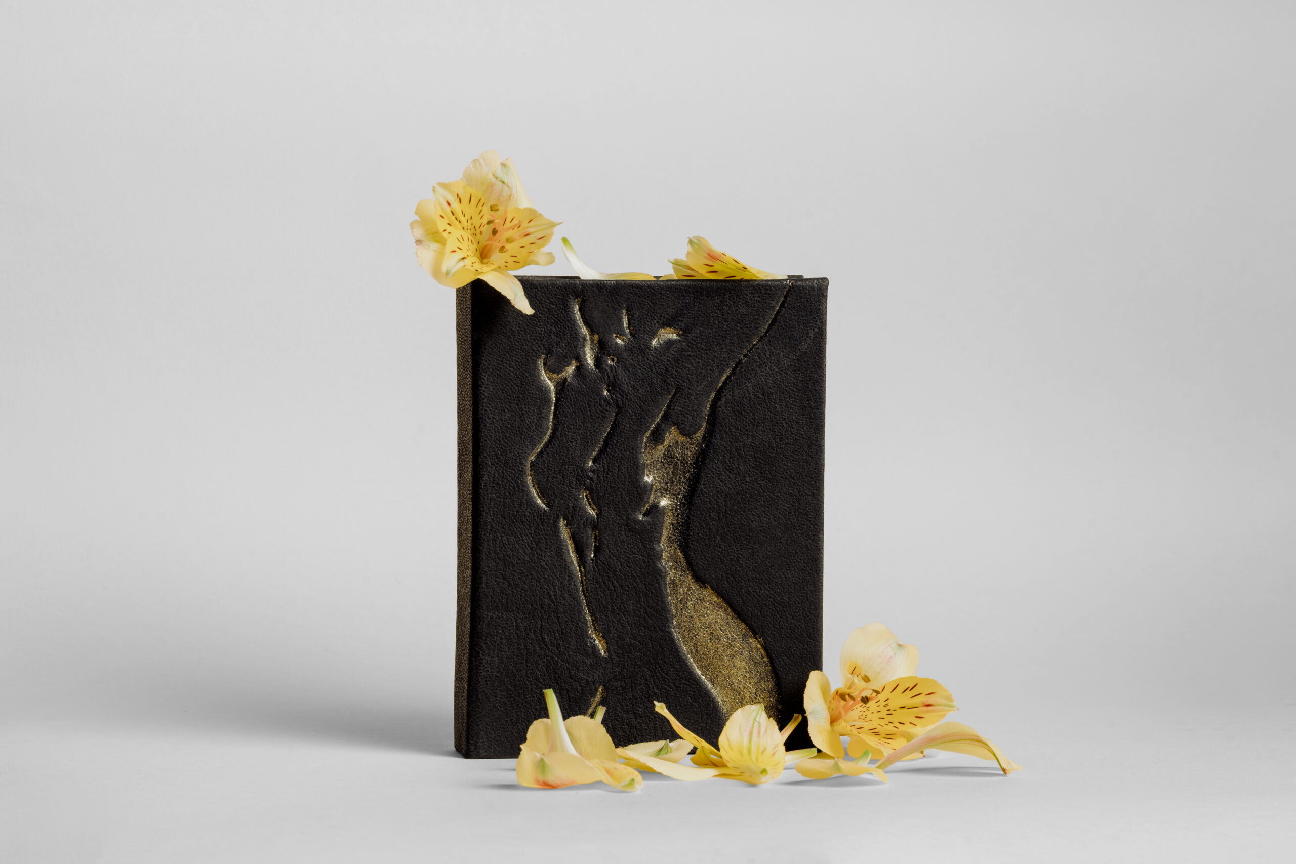 Jurnal "Gold Shadow"